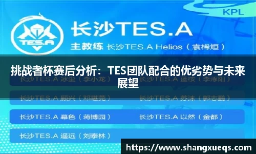 挑战者杯赛后分析：TES团队配合的优劣势与未来展望