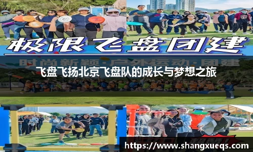 飞盘飞扬北京飞盘队的成长与梦想之旅