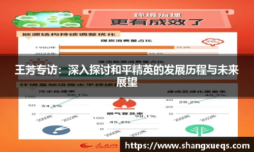 王芳专访：深入探讨和平精英的发展历程与未来展望