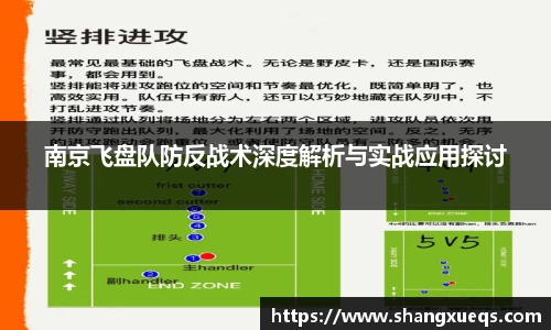 南京飞盘队防反战术深度解析与实战应用探讨
