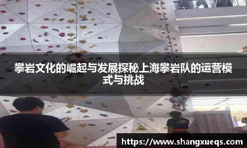 攀岩文化的崛起与发展探秘上海攀岩队的运营模式与挑战