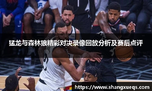 猛龙与森林狼精彩对决录像回放分析及赛后点评