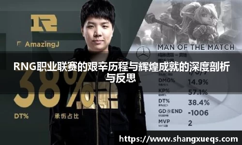 RNG职业联赛的艰辛历程与辉煌成就的深度剖析与反思